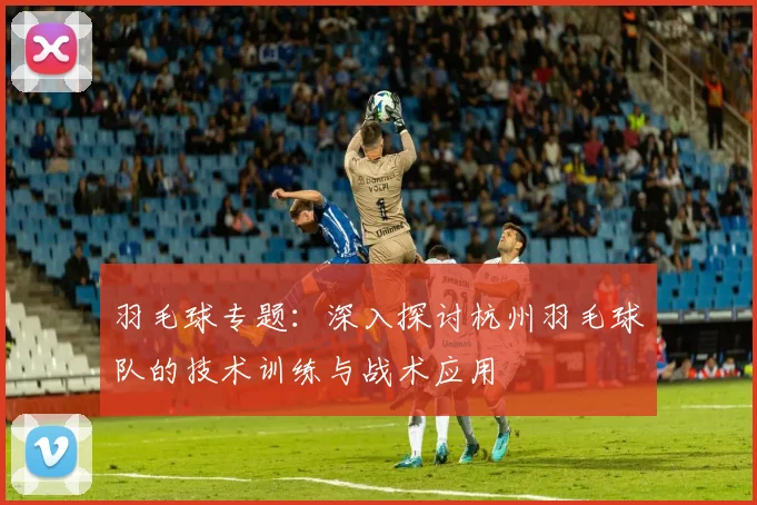 羽毛球专题：深入探讨杭州羽毛球队的技术训练与战术应用
