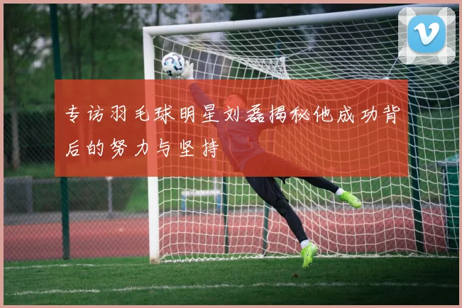 专访羽毛球明星刘磊揭秘他成功背后的努力与坚持